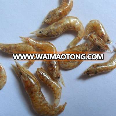 Factory Price Export Dried Shrimps For Fish Food ; Red Dried Shrimp