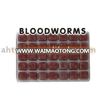 Fish food Frozen Bloodworm Fish food